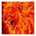 thumbnail image 1 of Cuadros Decorativos DIY 5D Diamond Painting Roaring Lion Full Round Drill Art Pictures (E599) DQrwqpou Nuevos Originales, 1 of 6