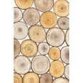 thumbnail image 3 of OToole, Tim 11x14 Black Modern Framed Museum Art Print Titled - Tree Ring Study II, 3 of 5