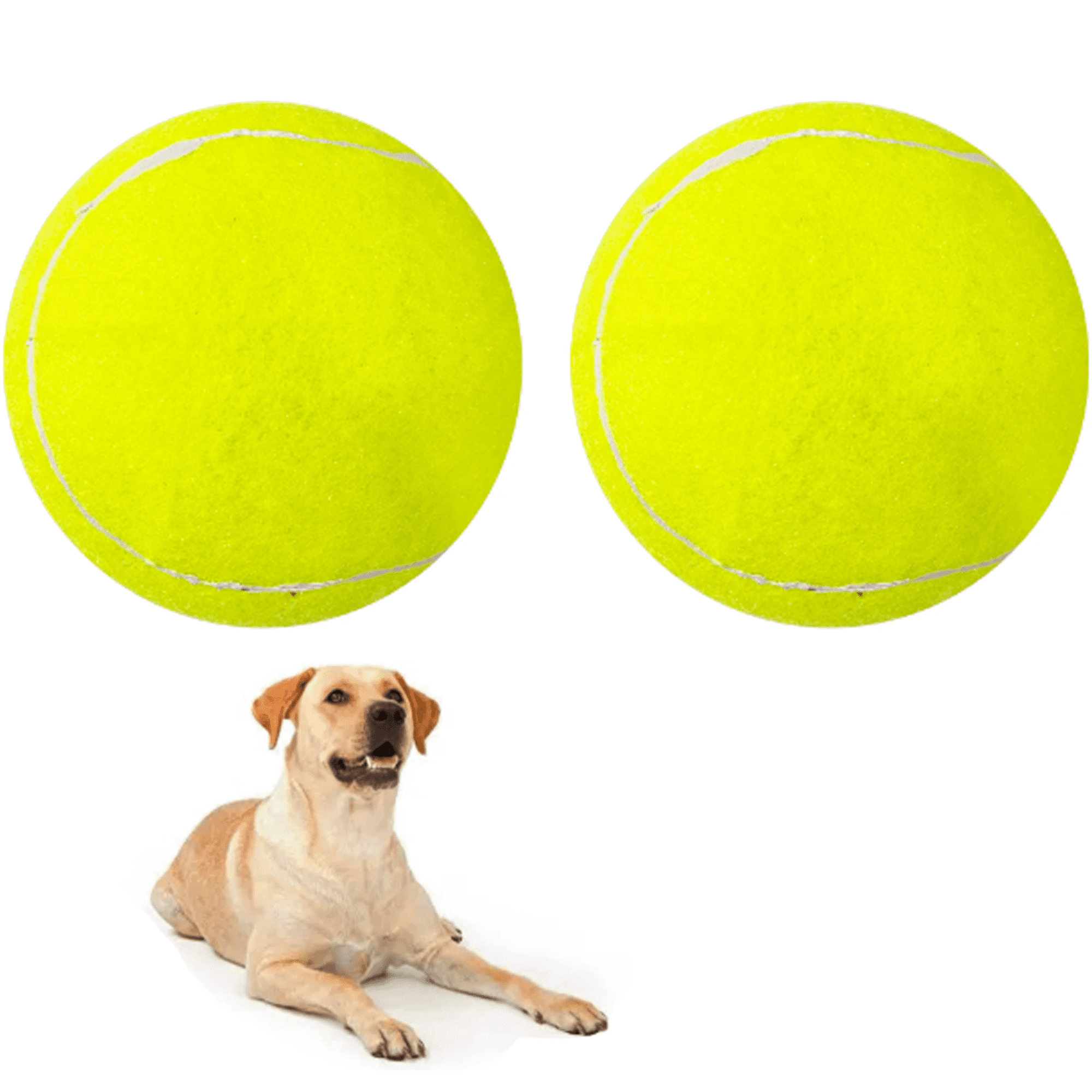 Mondon Tennis Balls for Dogs Funny Dog Toys Chew Toys for Exercise and