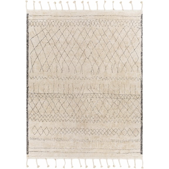 BoutiqueRugs Jacana Bohemian, Transitional Area Rug - Gray, Cream - 2'6" x 4'