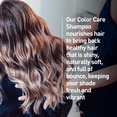 thumbnail image 3 of Just Nutritive Color Care Protect Shampoo for Color Treated Hair, UV Protection for Hair, Gentle Cleansing Shampoo, Best Color Protecting, Helps Maintain Hair Color Naturally,Anti-Fade, 16oz, 3 of 8