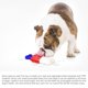 thumbnail image 4 of Simulación Popsicle Dog Chew Toy Multifuncional Pet Cool Down Teeting Toy Dog Stick Para Cepillo De Dientes Para Todo Tipo De Perros Eigraketly PT002543-02, 4 of 6