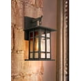 thumbnail image 3 of Eglo 1x60w Outdoor Wall Light W/ Matte Bronze Finish And Clear Seeded Glass - 202888A, 3 of 3