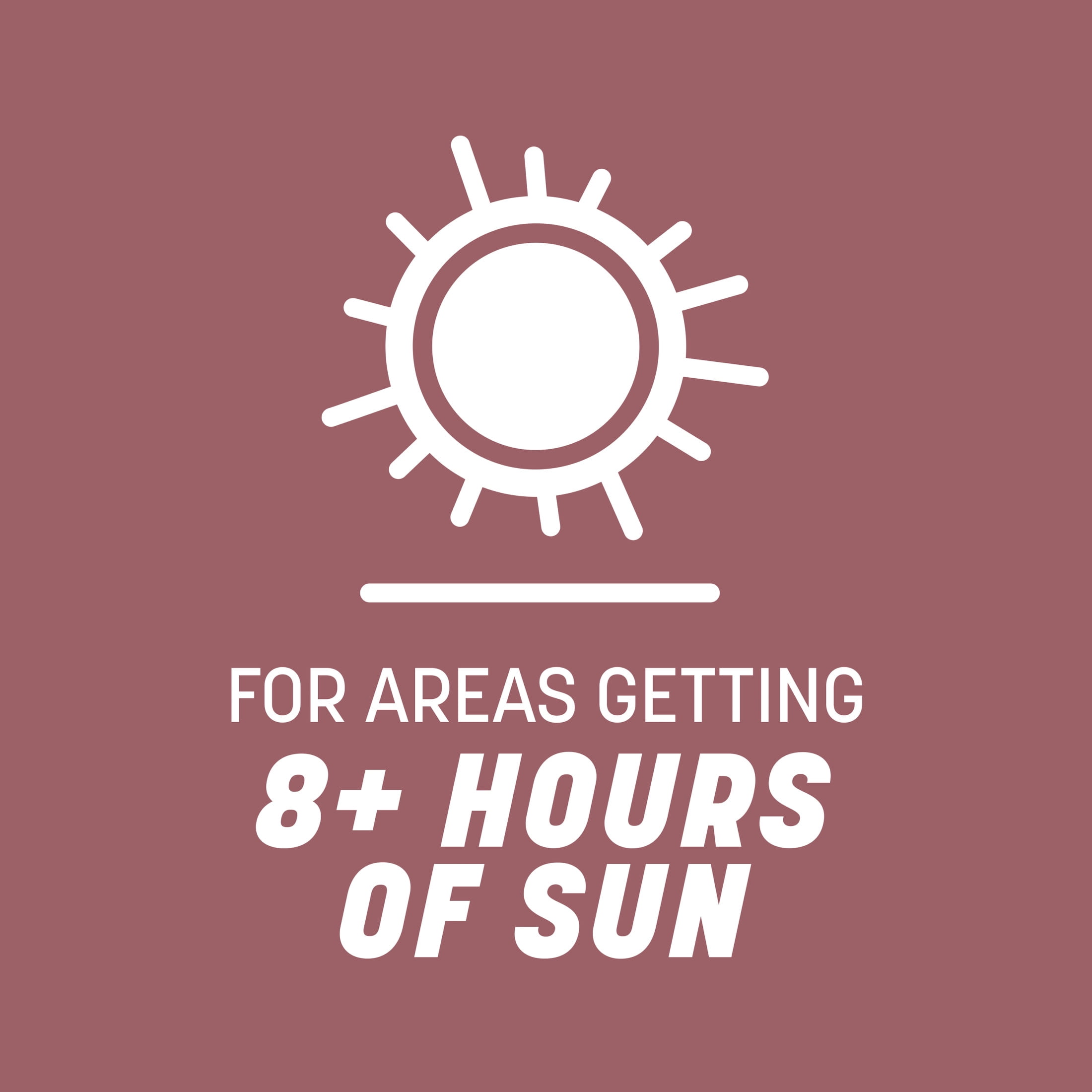 Pennington Pensacola Bahiagrass Grass Seed for Full Sun, Grass Seeds for Lawn, 3 lb