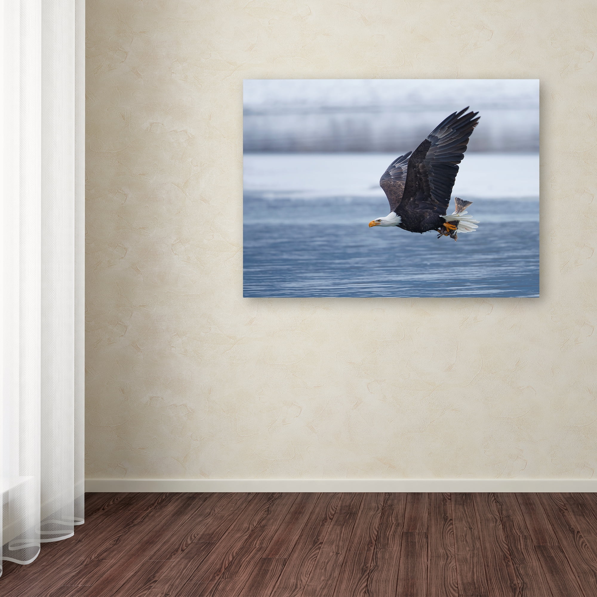 Shlomo Waldmann 'Bald Eagle' Canvas Art