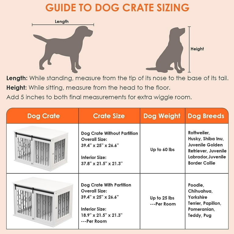 Border collie outlet crate size