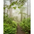 thumbnail image 3 of Poinski, Dianne 12x14 Black Modern Framed Museum Art Print Titled - Summer Fog, 3 of 5