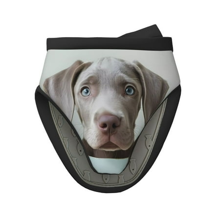 

Matuu Adorable Puppy Portrait for Non-Slip Mini Oven Soft Silicone Mitt 5.9 x5.9