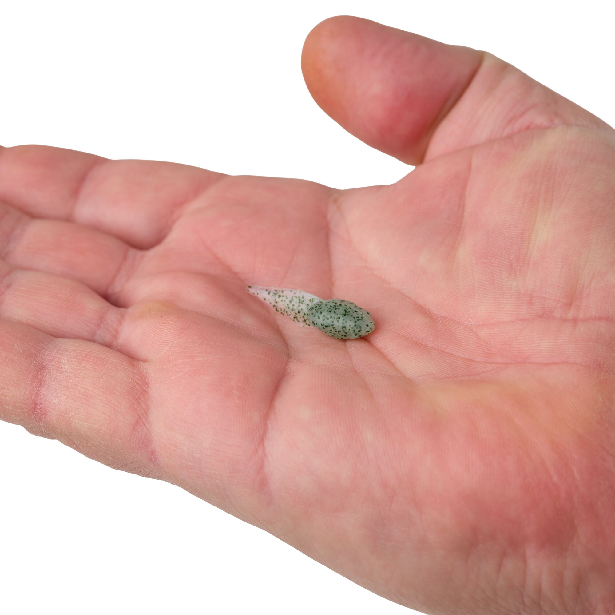 Berkley Gulp! Alive!® Tadpole, 1.25 in, Minnows, Chive (1 Count)