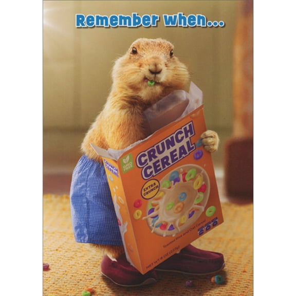 Avanti Press Groundhog Searching for Toy in Cereal Box Funny Birthday Card