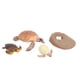 thumbnail image 3 of Modelo de simulación de animales, animales marinos, ciclo de vida, modelo cognitivo, juguete científico para niños, 2423, 3 of 9