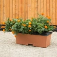 thumbnail image 6 of EarthBox Organic Self Watering UV Protected Garden Kit, Terracotta, 6 of 9
