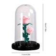 thumbnail image 4 of Atmósfera Noche Ligera Flower Preservado Regalos Rosa para Ella () White, 4 of 9