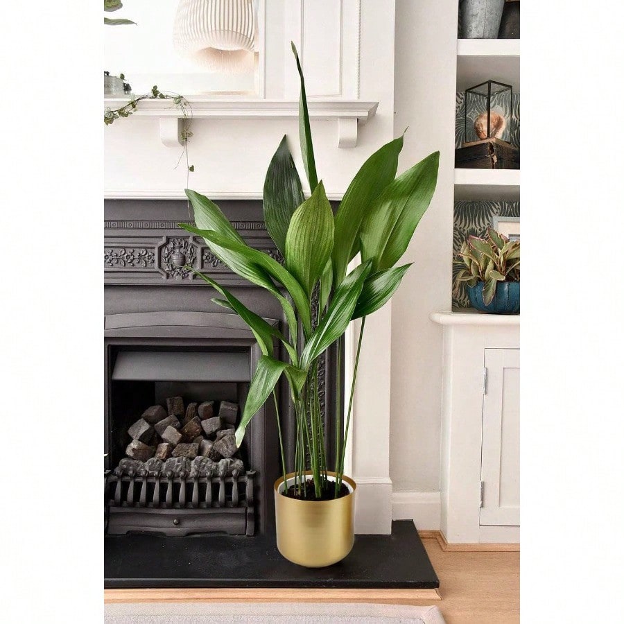 Large Gold Planters Metal Aloe Brass-Tone Plant Pots Indoor Decorative Flower Pots with Drain Holes 8+7.1Inch