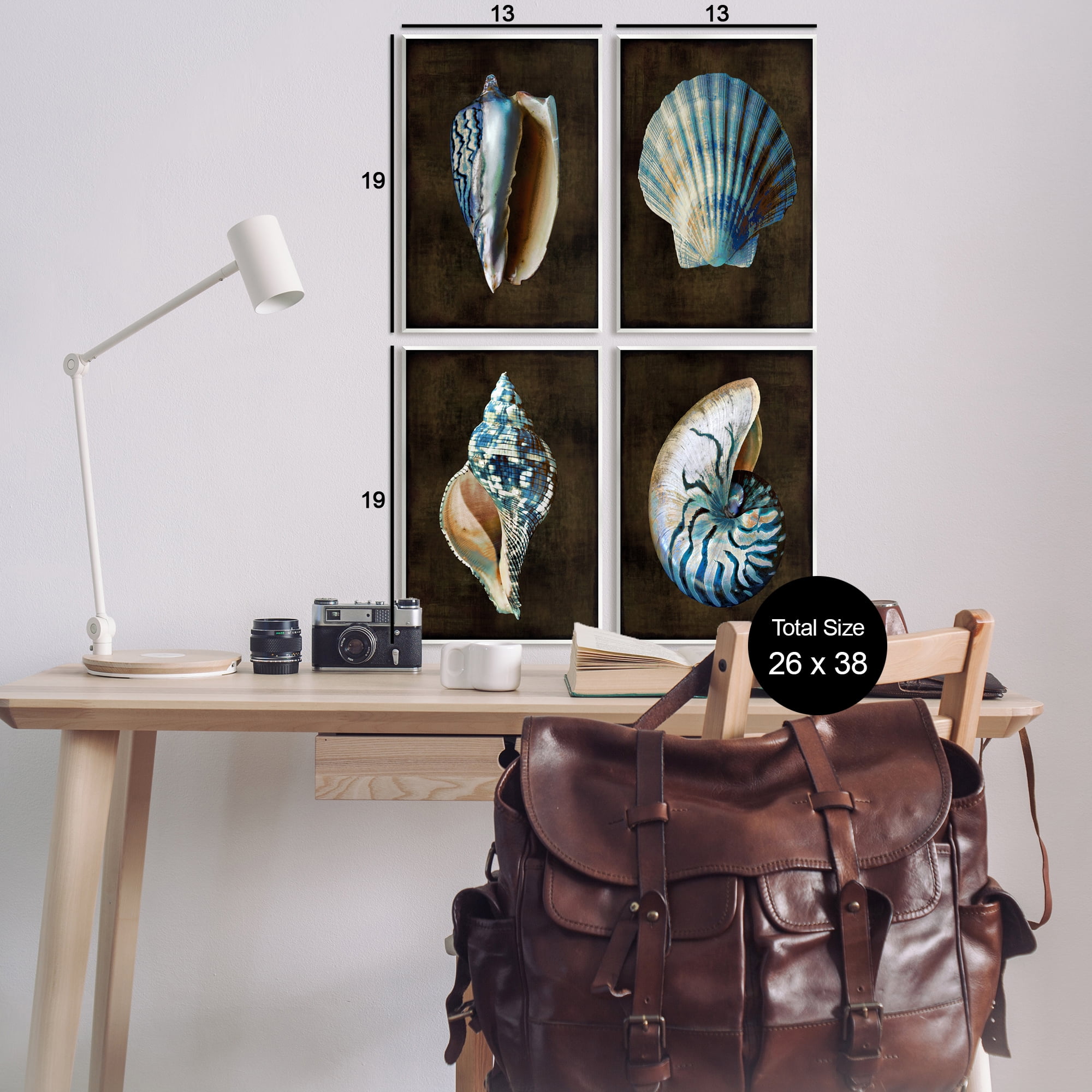 Stupell Industries Seashells on Black Animals & Insects Painting Unframed Art Print Wall Art, 13 x 19, Set of 4