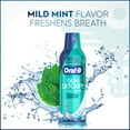 OralB Gum Detoxify Mouthwash Oral Rinse, Mild Mint Flavor, 16 fl oz