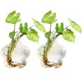 thumbnail image 1 of Wall Hanging Planter Modern: 2PCS Decorative Glass Planter Flower Vase Plant Pot, 1 of 10
