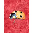 thumbnail image 1 of 11 x 15 In. Lady Bug On Red Flag, Garden Size, 1 of 1