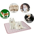 thumbnail image 5 of Pet Mat Large Pet Mat for Carpet Pet Mat for Litter Pet Heating Pad for Small Dogs Cats Heated Bed Mat Outdoor Cool Blanket Non Slip And Wear Resistants For Kennel Sofa Bed Floor Pet Mat, 5 of 6
