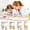 A, variant on Txlpkdyx Crayons,12/24/36/48pcs Silky Quick-Dry Crayons & Oil Pastels in Bucket,Stain-Free Washable Crayons,Deliver Clean,Vibrant Coloring & Painting Results