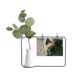 thumbnail image 1 of Animal ojo azul gatito gris fotografía Marco De Metal Florero De Cerámica Decoración, 1 of 4