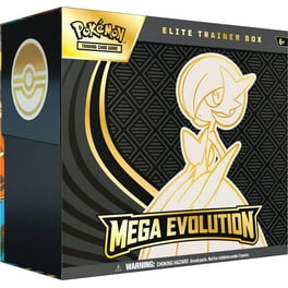 ワーウィック Evolving Skies エリートトレーナーボックス ワーウィック Evolving Skies エリートトレーナーボックス