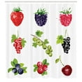 thumbnail image 3 of Ambesonne Fruit Shower Curtain, Composition of Berries, 69"Wx70"L, Multicolor, 3 of 3
