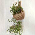 thumbnail image 5 of Cesta De Frutas Para Colgar En La Pared, Cesta Colgante De Cuerda De Algodón, Cocina, E, 5 of 5