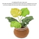 thumbnail image 3 of Kit de crochet ANGGREK de Plantas en Macetas Inicio de Bricolaje, 3 of 8