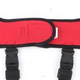 thumbnail image 4 of Dog Rear Leg Braces, Pet Knee Pads Professional Effective  For Sprain Protection For Surgery Healing For Injury For Prevent Dog Licking Wounds HJ26 Red,HJ27 Blue, 4 of 8