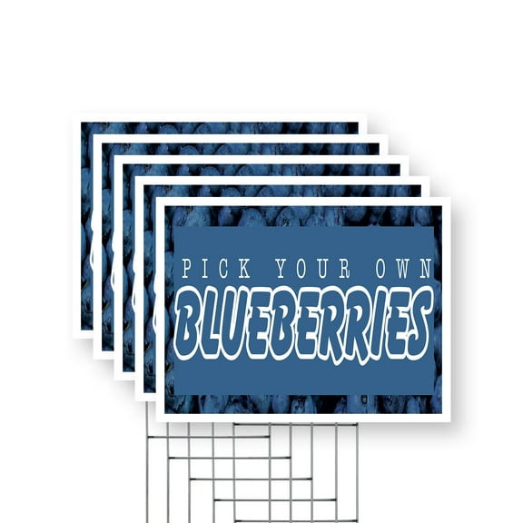 Pick Your Own Blueberries Yard Sign 5 Pack of 12 Inch x 16 Inch Single Sided Weatherproof Heavy-Duty Plastic with Stake | Freshly Picked, Local Farms, Healthy Living | Made in USA