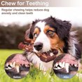 thumbnail image 3 of Juguete para Gorila Masticar Nailon Dientes Perro Masticadores Agresivos, 3 of 5