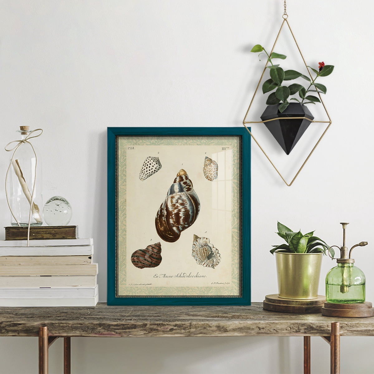 Bookplate Shells VII - Framed Print w/glass - Ocean Blue