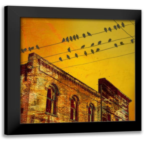 McMasters, James 12x12 Black Modern Framed Museum Art Print Titled - Birds on a Wire I