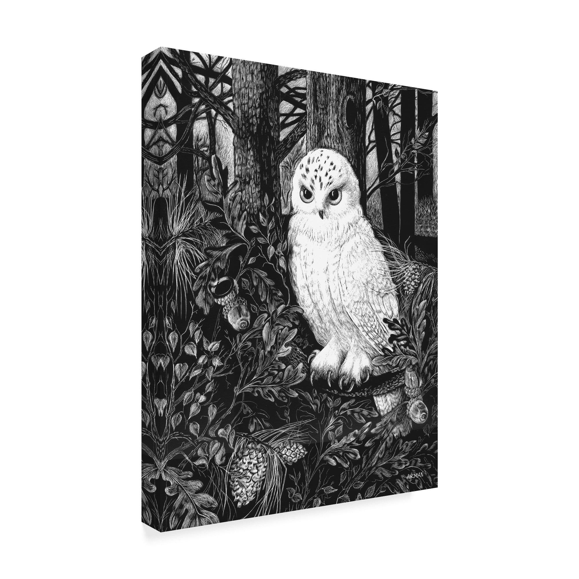 Trademark Fine Art 'Owl White' Canvas Art by Geraldine Aikman