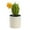 C, variant on Realistic Artificial Cactus Decor - Lifelike Simulation Potted Cactus Plants, Mini Succulent Bonsai Ornament, Faux Small Tropical Cactus for Living Room and Garden Decoration Walmart Clearance
