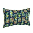 thumbnail image 2 of Haiem Pillowcase for Hair and Skin Queen - Colorful Pineapples Printed Soft Pillowcase with Envelope Closure-16"x24", 2 of 9