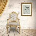 thumbnail image 3 of 1x Studio 18x24 Gold Ornate Wood Framed with Double Matting Museum Art Print Titled - Green Oak Plant, 3 of 4