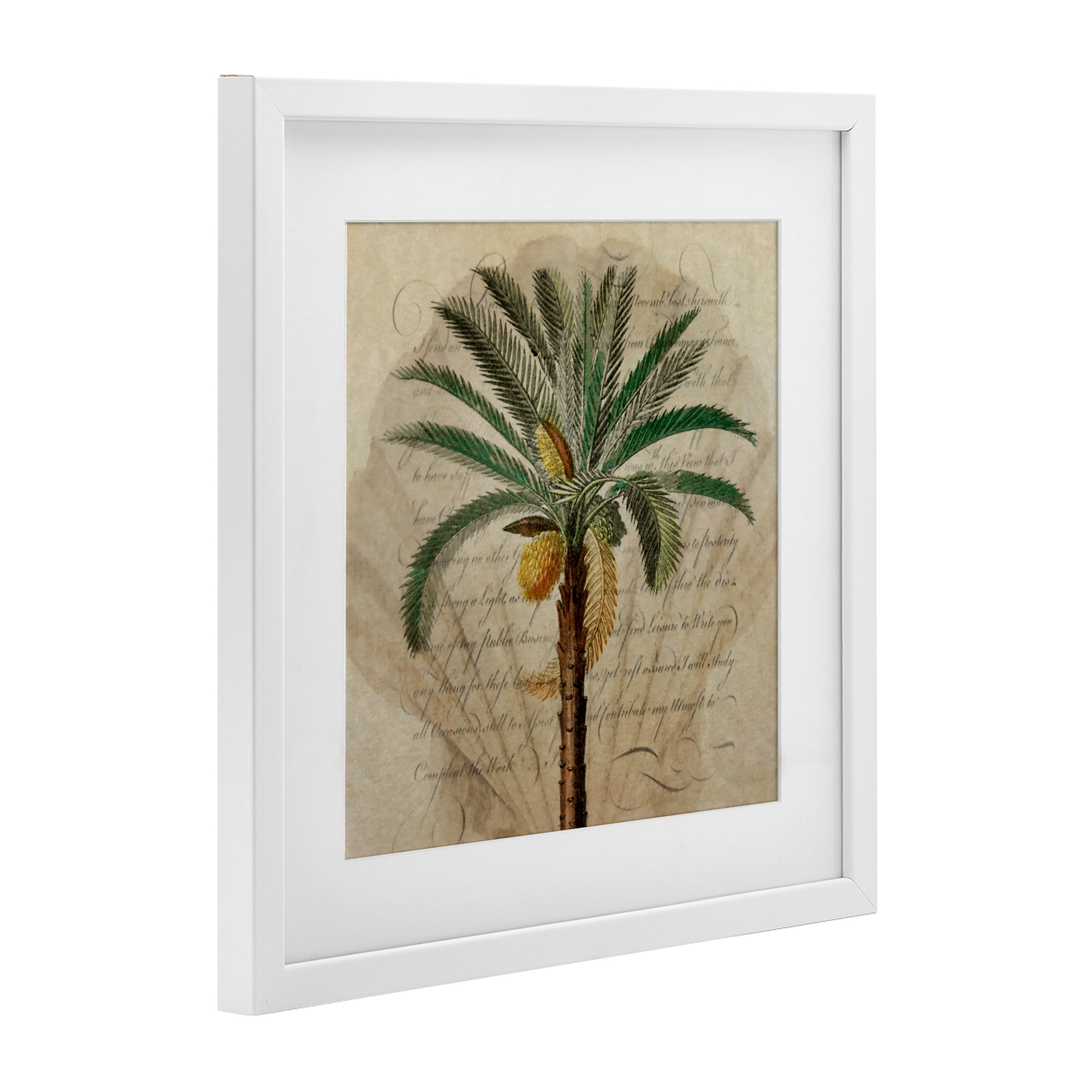 Stupell Industries Vintage Subdued Palm White Framed Print Under Glass, design by Steve Hunziker