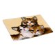 thumbnail image 4 of de de pestillo pa bricoje Fabricación de alfombras pa niños / adultos 31 pulgadas X 19.67 pulgadas, s de pa alfombras d Gato BLESIY Kits de enganche de cierre, 4 of 8