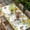 Yellow, variant on Spring Sunflowers Table Cloths for 4 Foot Rectangle Tables, Eucalyptus Leaves Flowers Butterfly Patio Waterproof Elastic Fitted Tablecloths, Washable Rectangular Table Cover for Camping