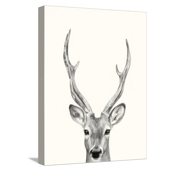 Art.com Animal Mug IV Stretched Canvas Print Wall Art by Victoria Borges, 12" x 16"