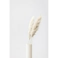 thumbnail image 3 of 1x Studio III 11x14 Black Modern Framed Museum Art Print Titled - Pampas Grass Grey 10, 3 of 5