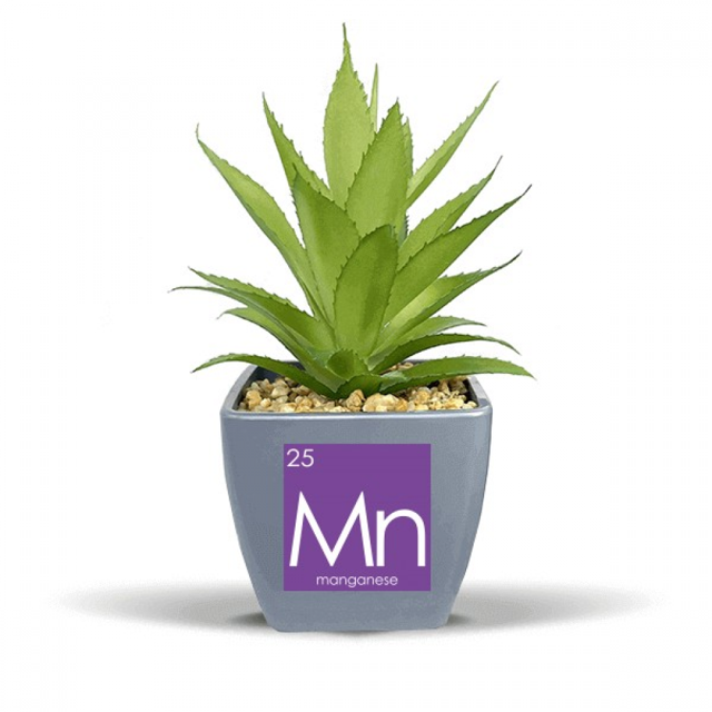Chestry Elements Period Table Transition Metals Manganese Mn Fake Pineapple Flower Pot Vase Mini Decor