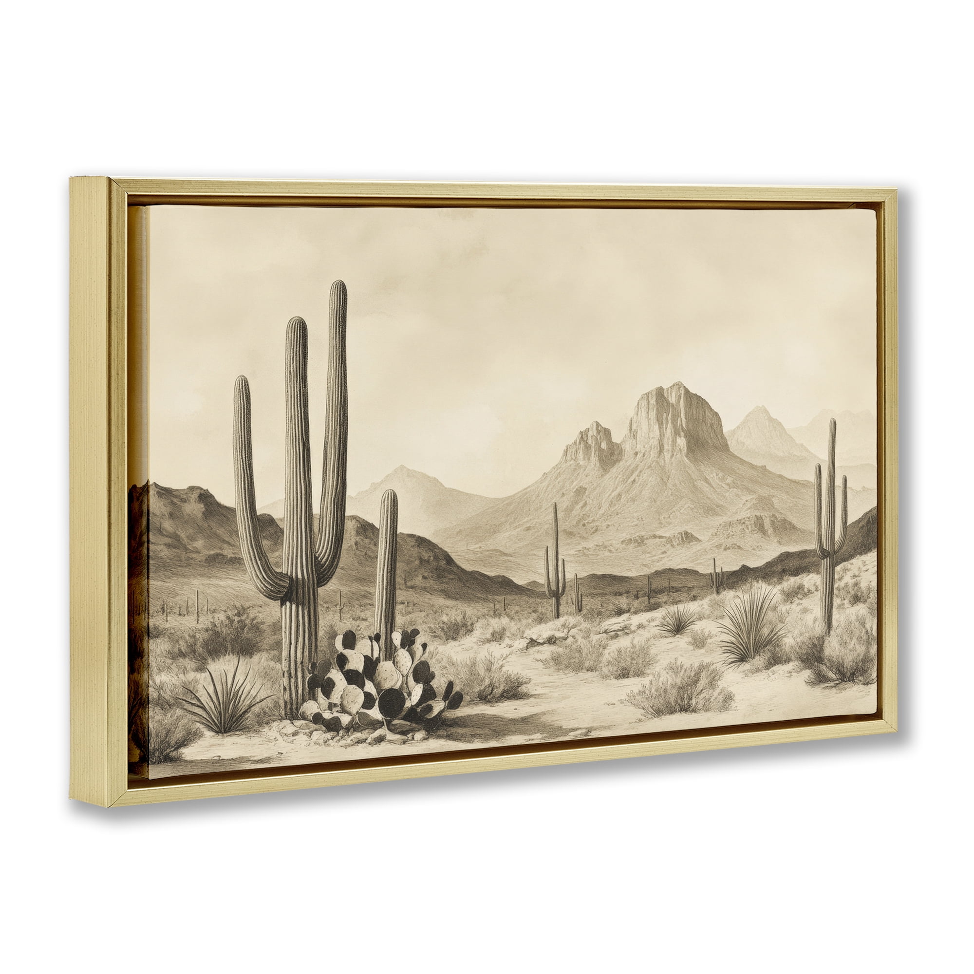 Stupell Industries Arizona Desert Vista Gold Framed Floater Canvas Wall Art, design by Petal Prints Design