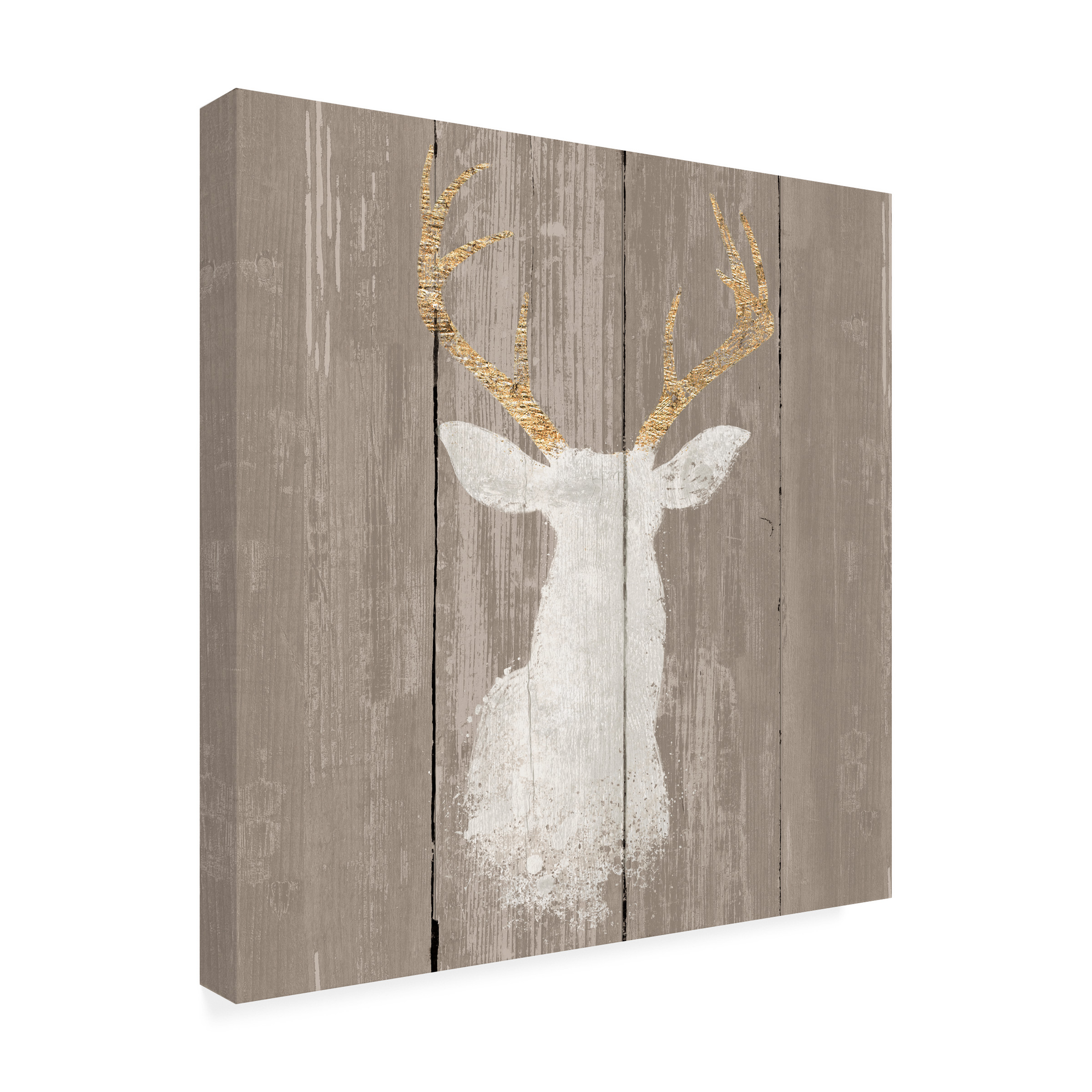 Trademark Fine Art 'Precious Antlers I on Gray Wood' Canvas Art by Wellington Studio