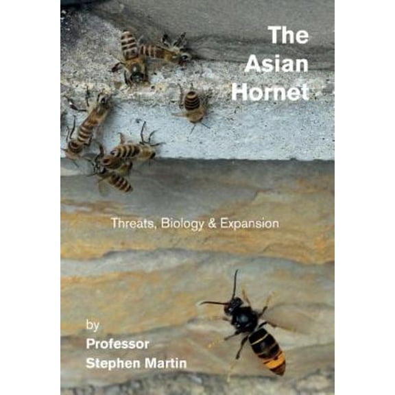 The Asian Hornet (Paperback)