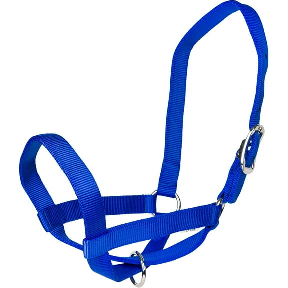 Gatsby Nylon Cattle Halter L Blue