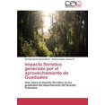 thumbnail image 1 of Impacto Flor Stico Generado Por El Aprovechamiento de Guaduales, 1 of 2