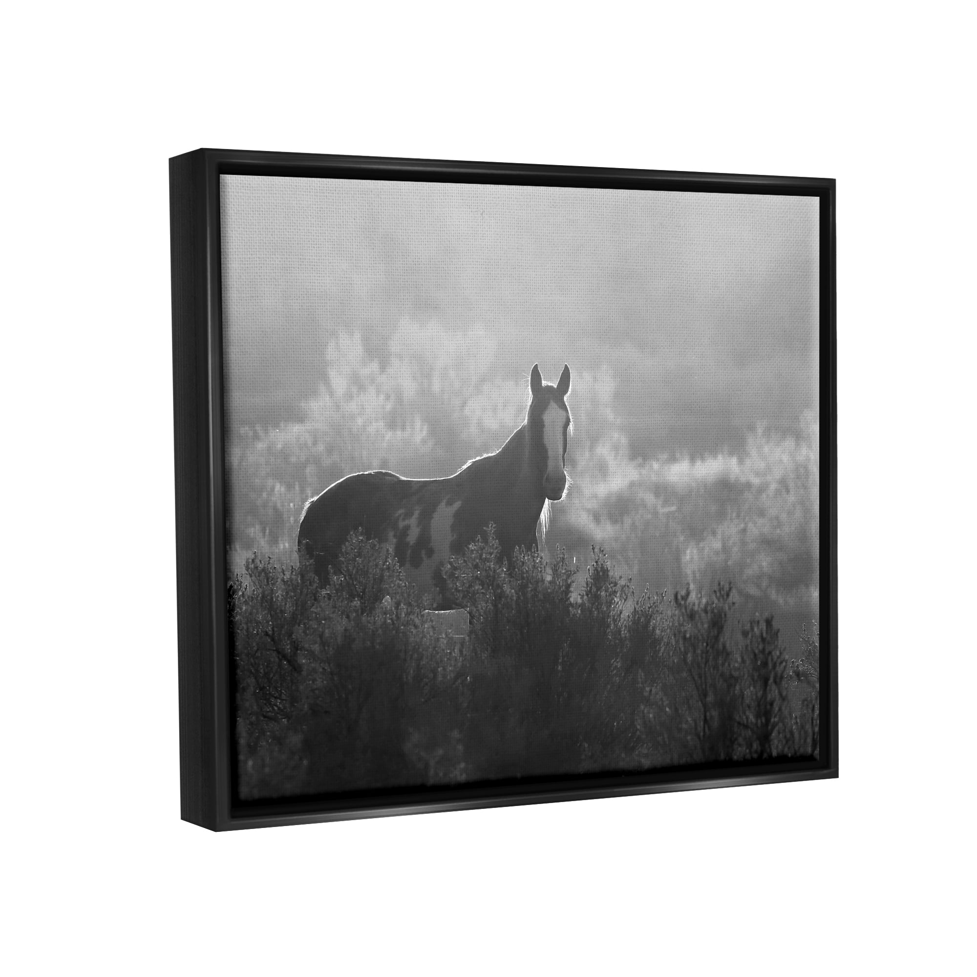 Stupell Industries Horse in Nature Trees Landscape Photography Black Floater Framed Canvas Art Print Wall Art, 31 x 25